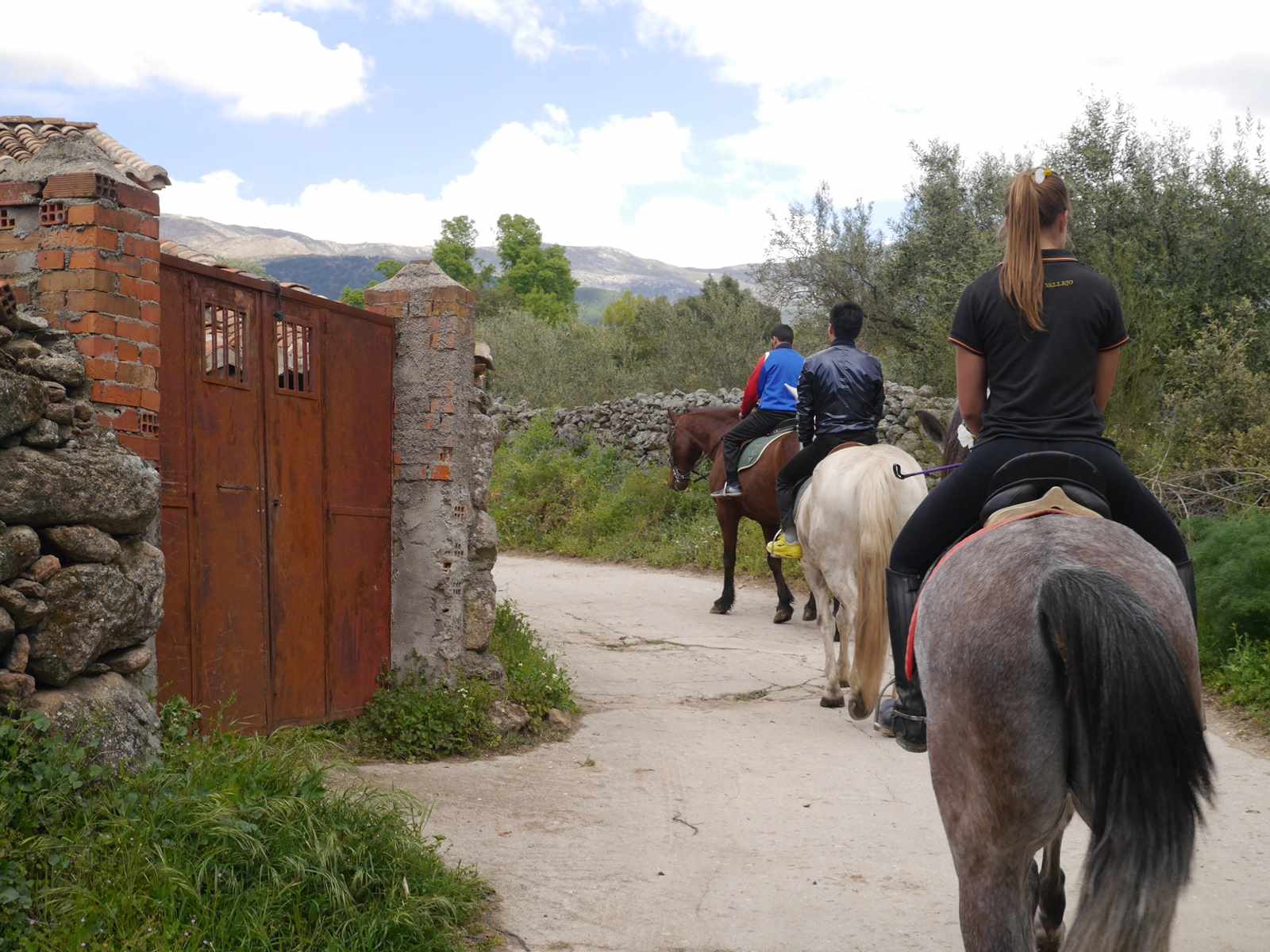 Horse Riding in Ávila
