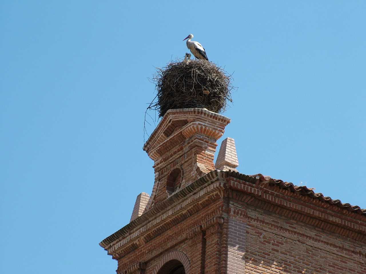 Alcalá de Henares