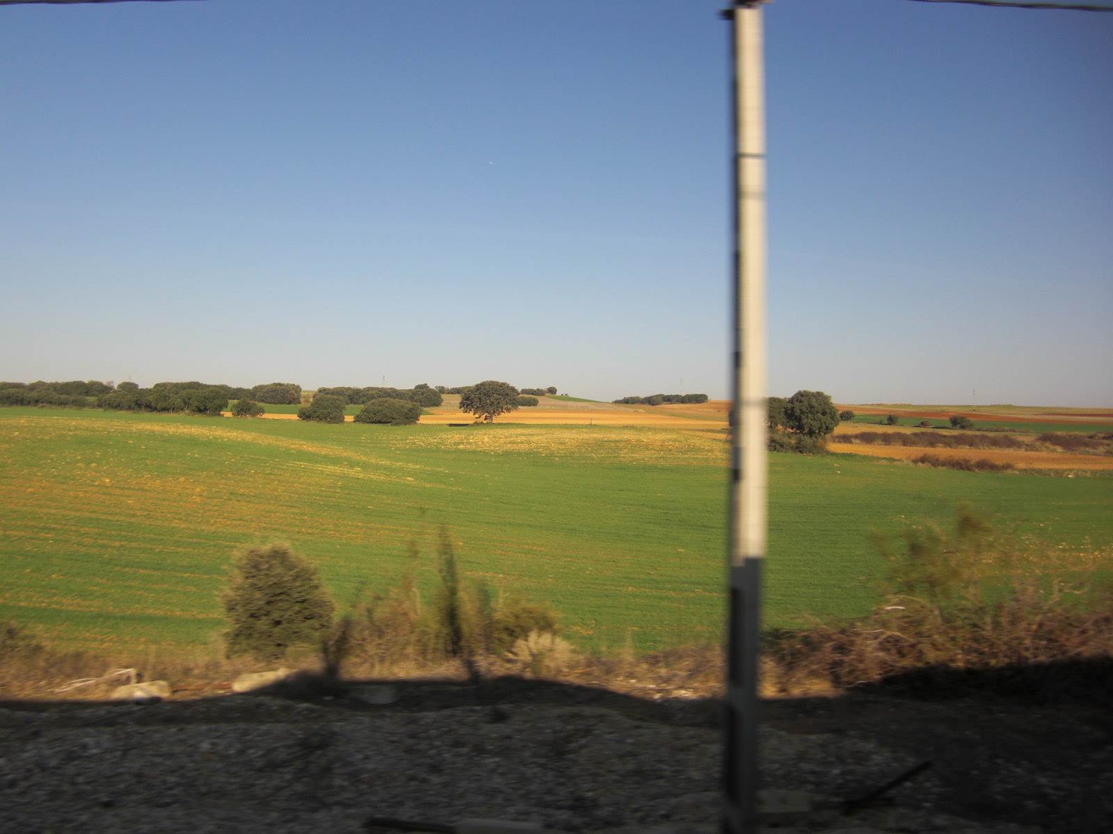 Excursión a Sigüenza