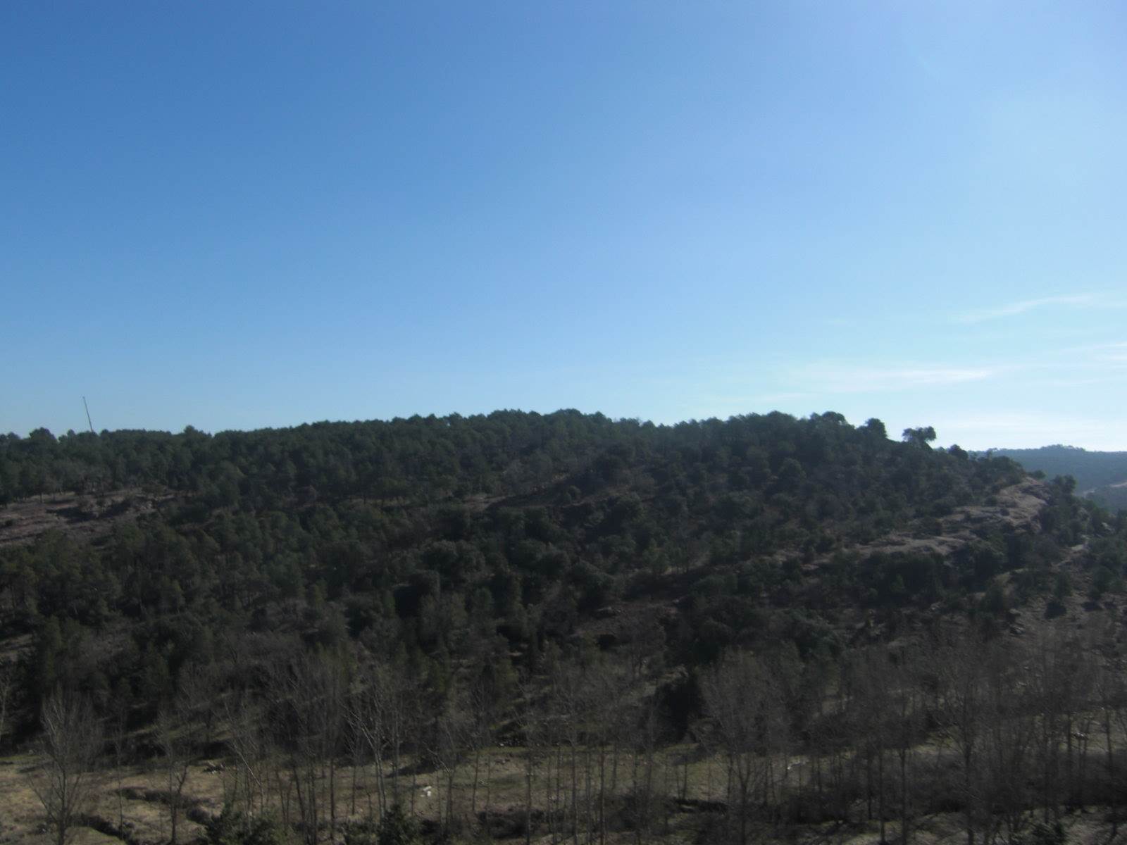 Excursión a Sigüenza