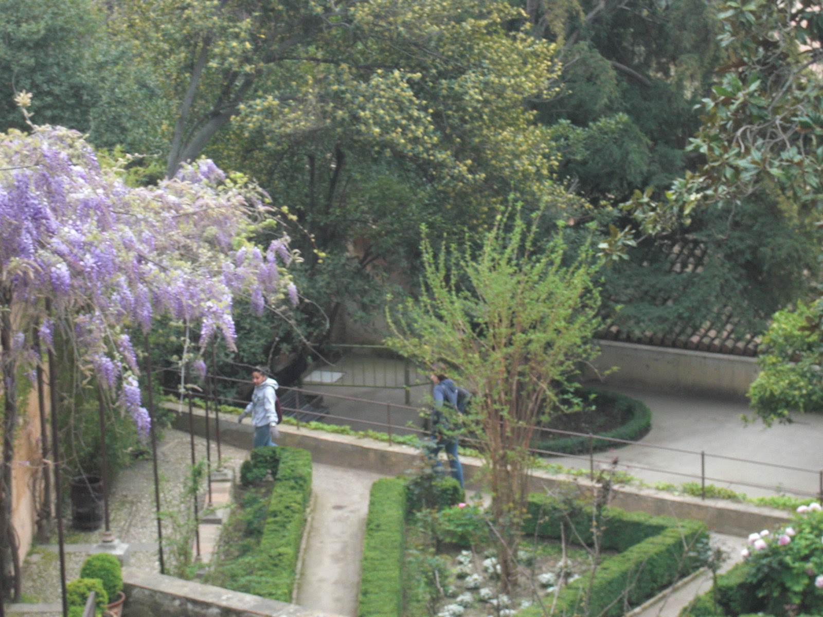 Viaje a Granada