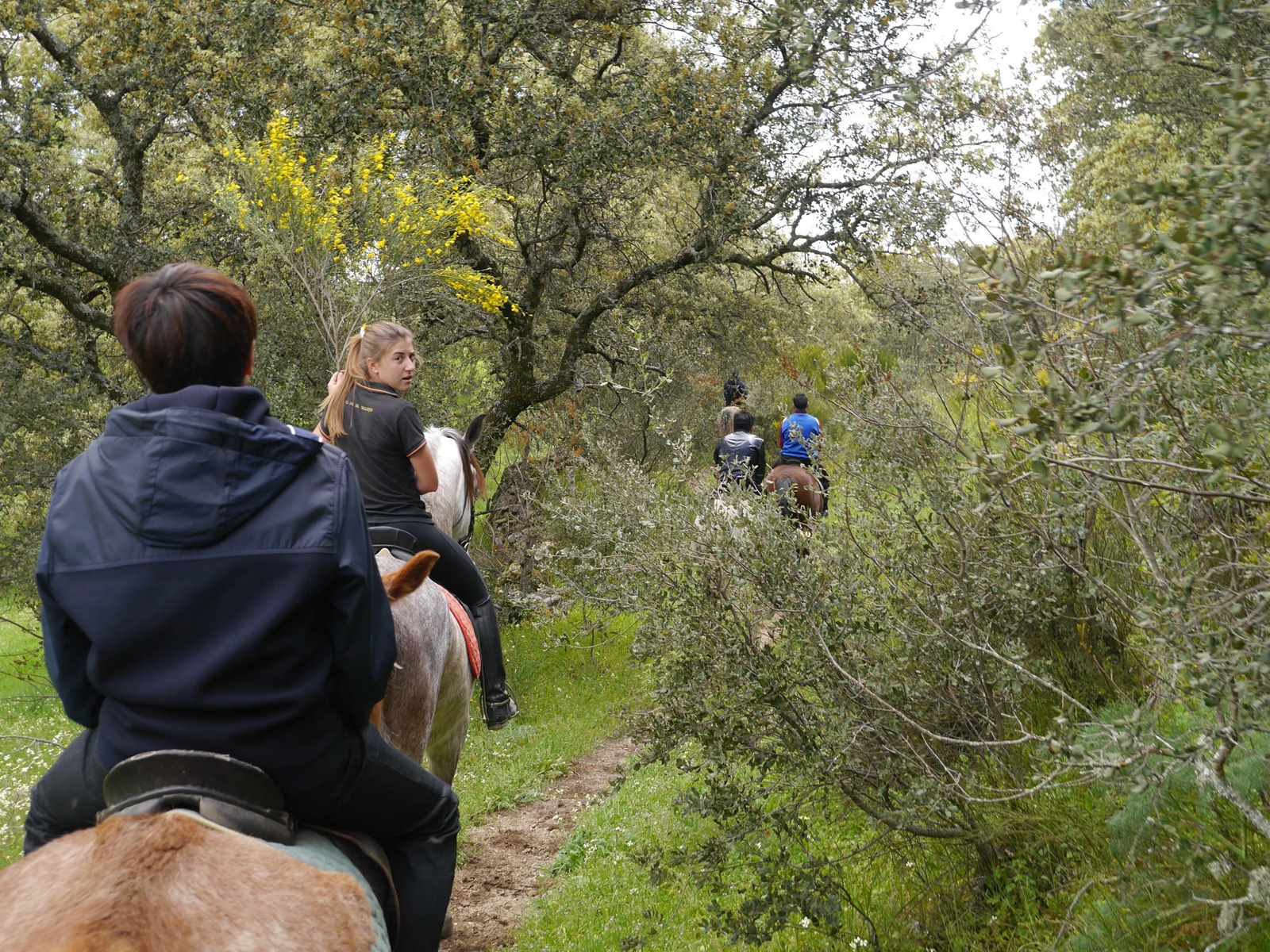 Horse Riding in Ávila