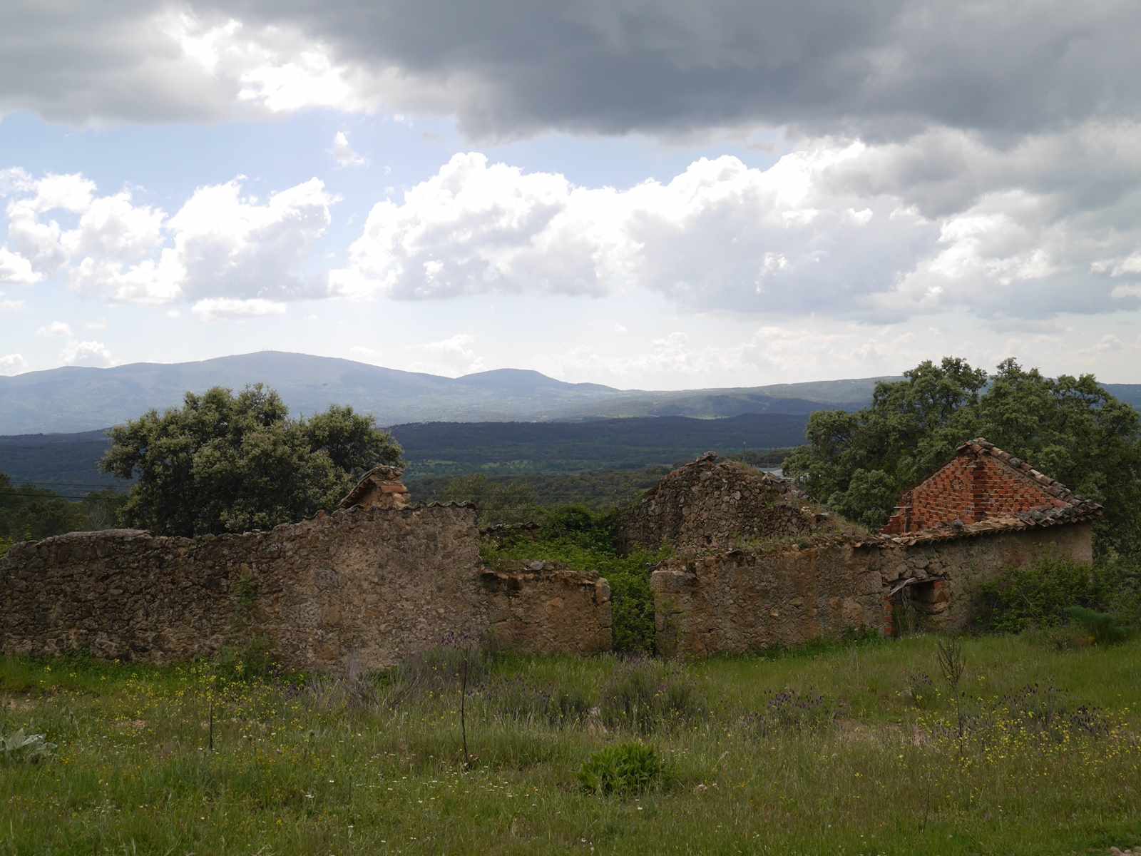 Horse Riding in Ávila