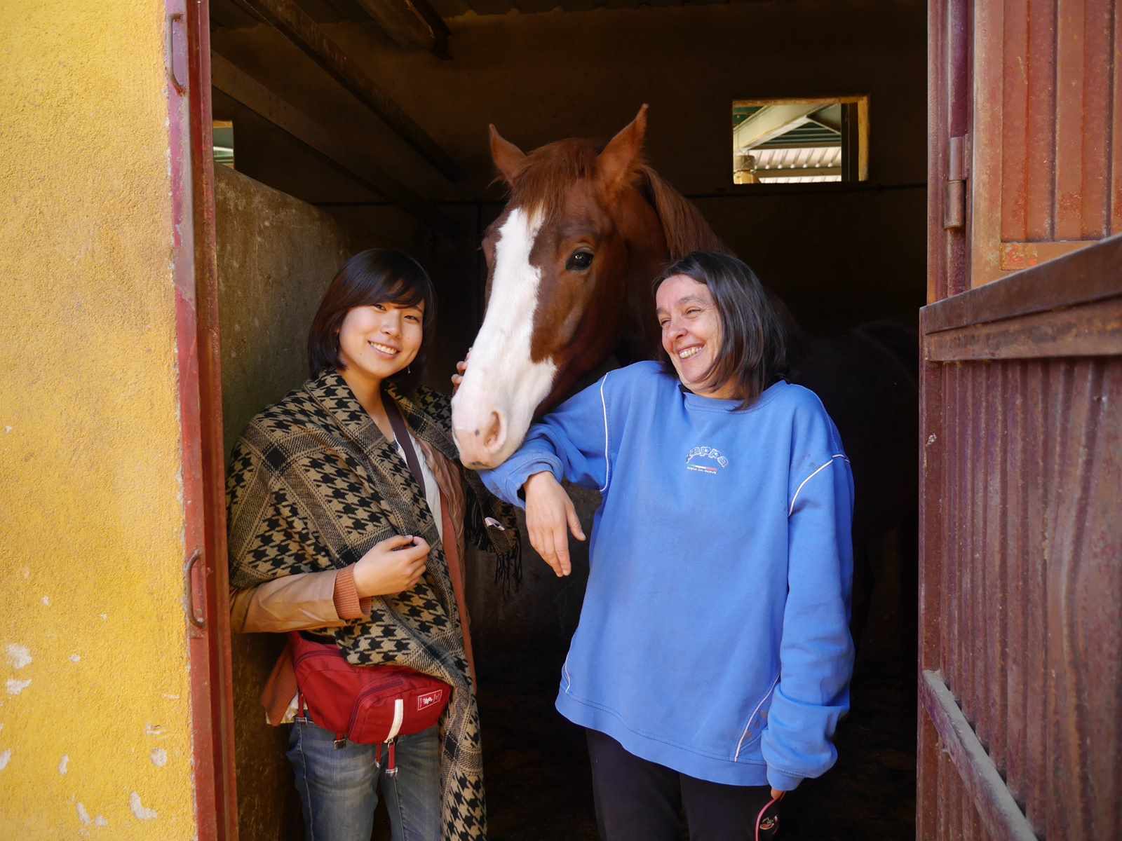 Horse Riding in Ávila