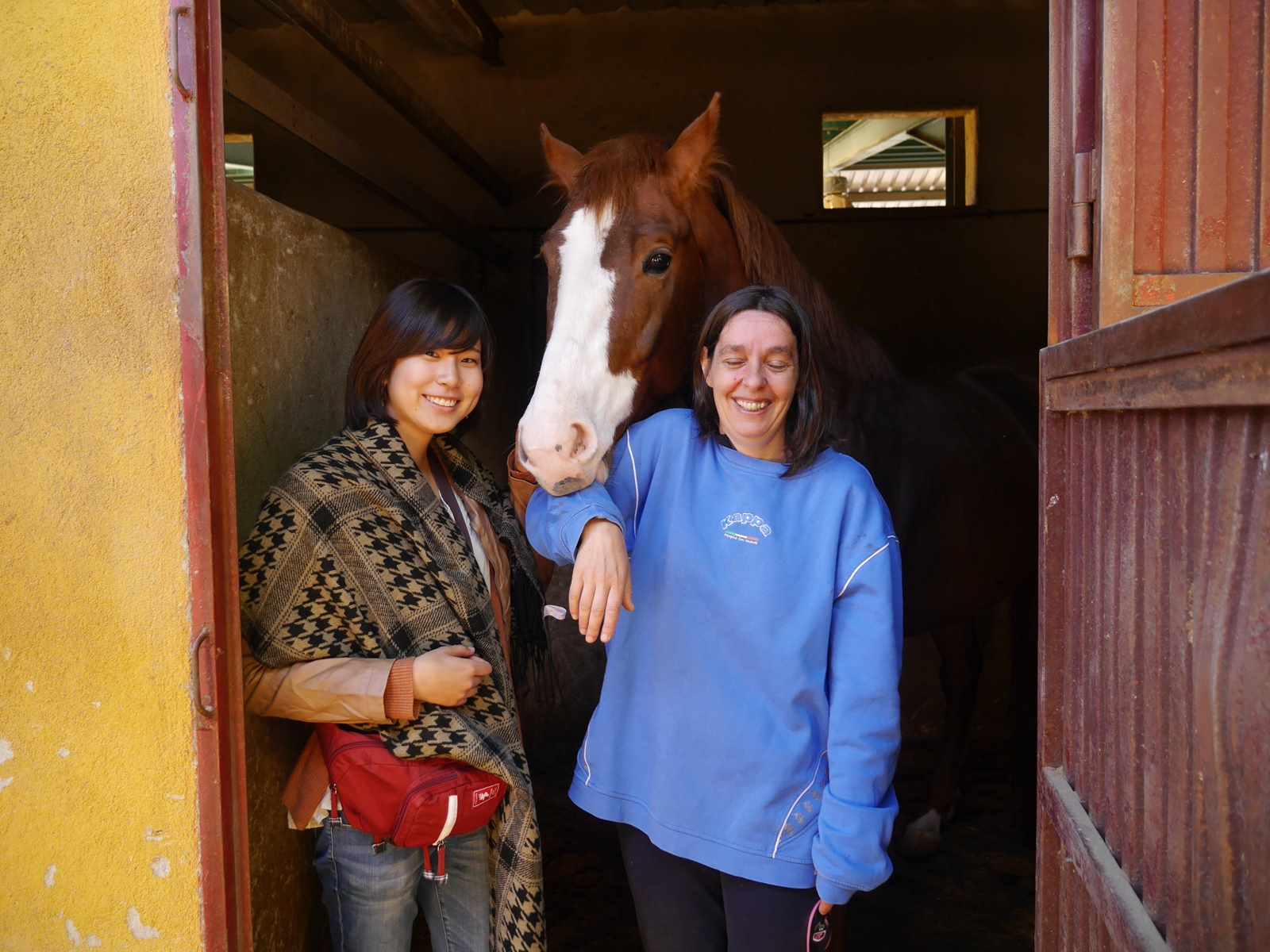 Horse Riding in Ávila