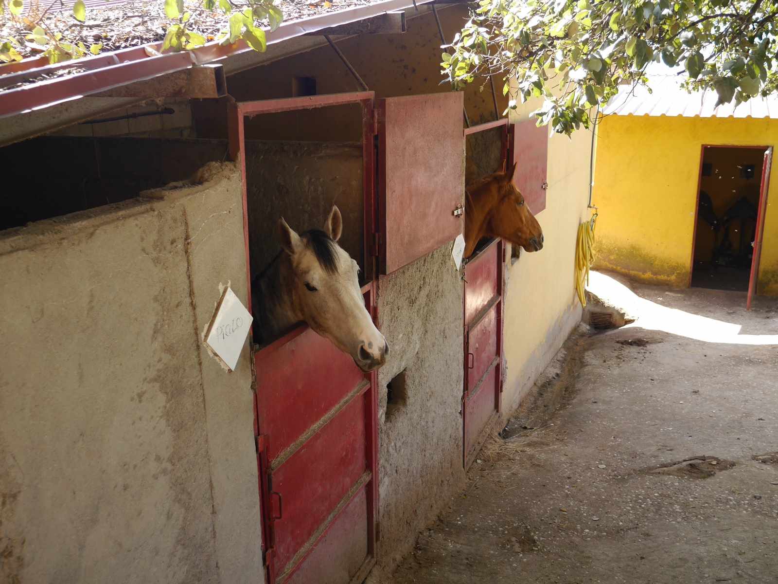 Horse Riding in Ávila