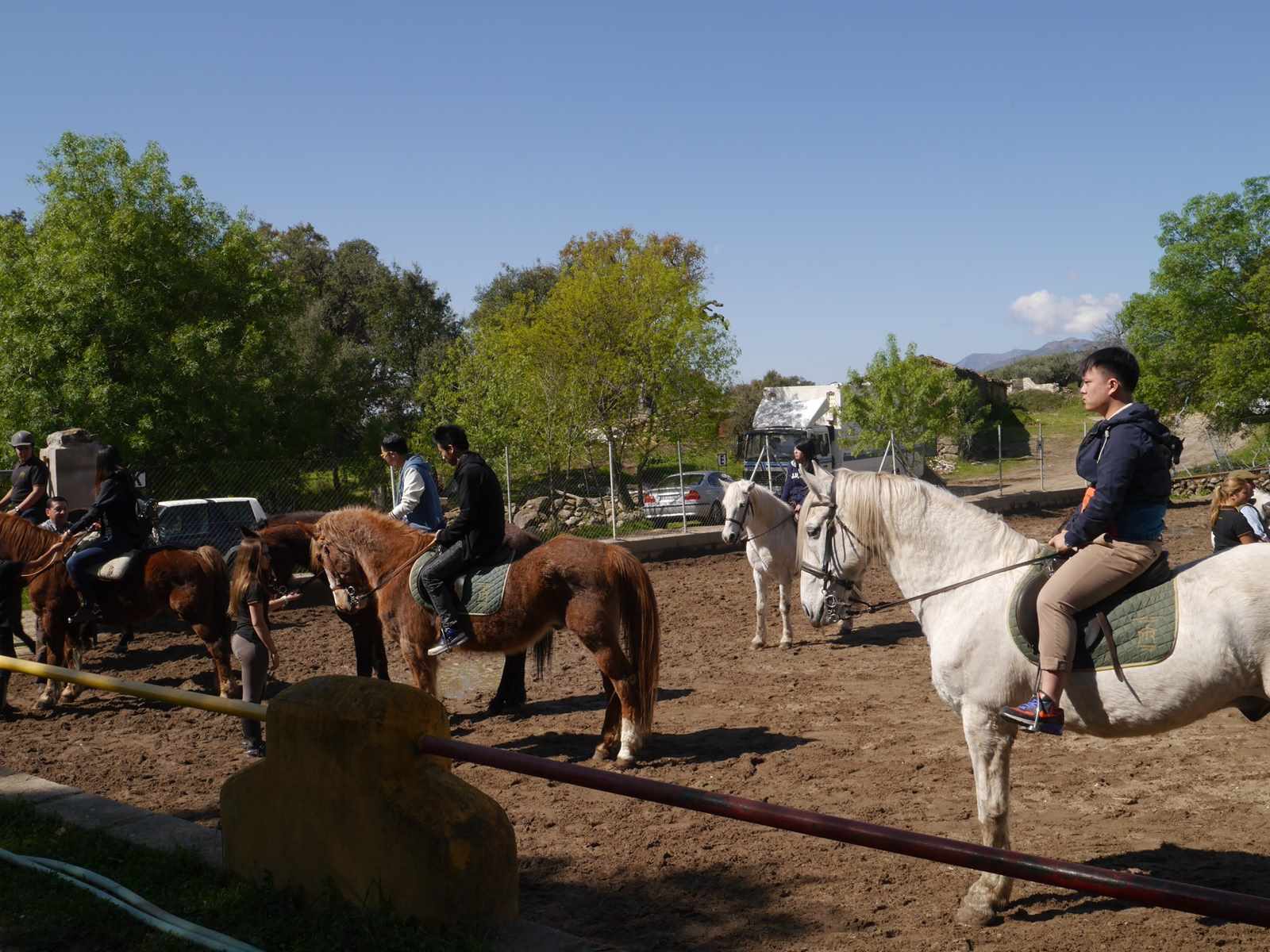 Horse Riding in Ávila | Alcalingua · Universidad de Alcalá