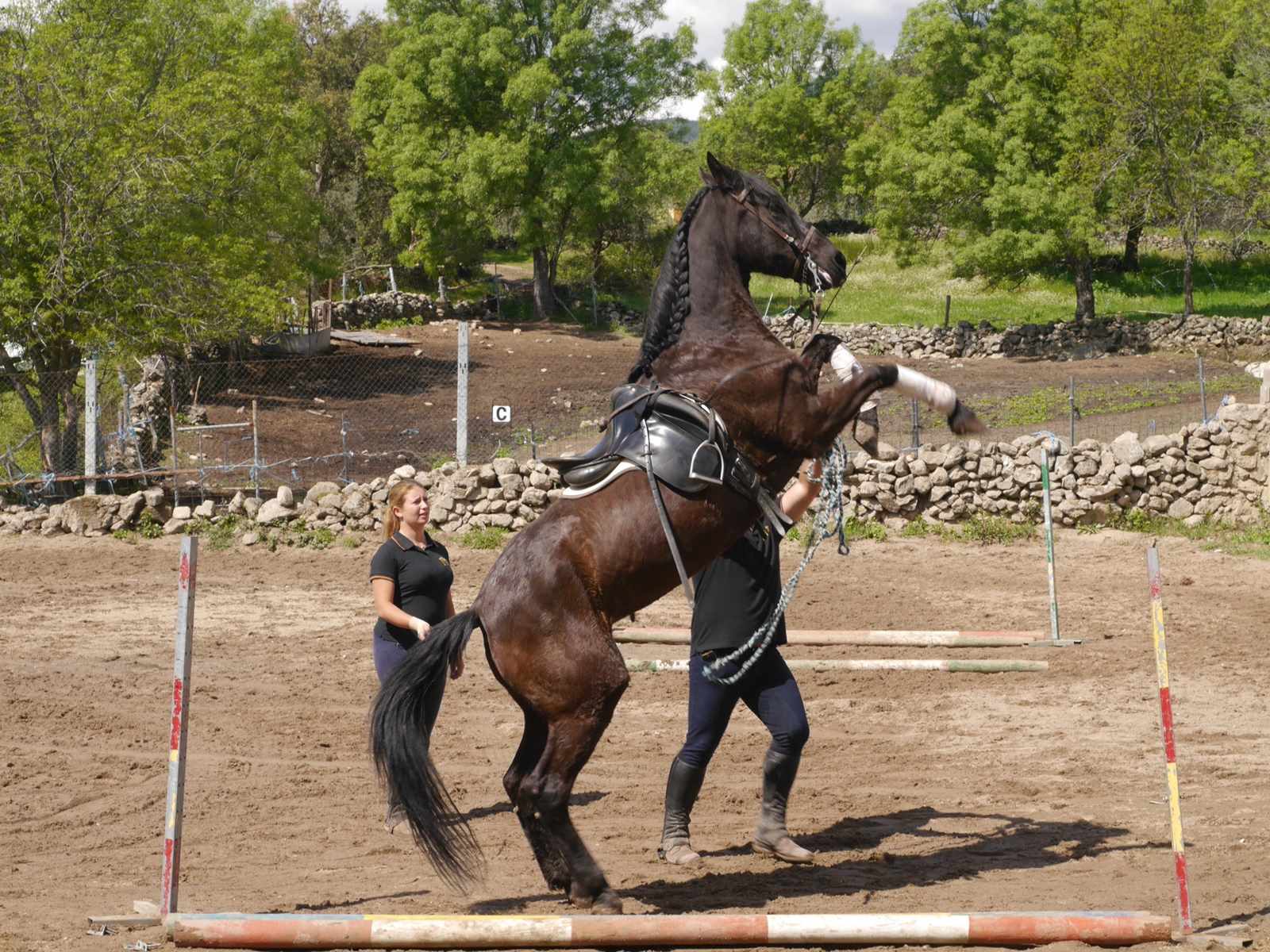 Horse Riding in Ávila | Alcalingua · Universidad de Alcalá