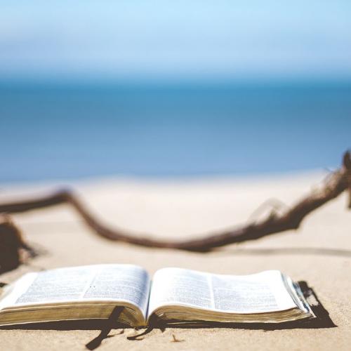 summer books beach