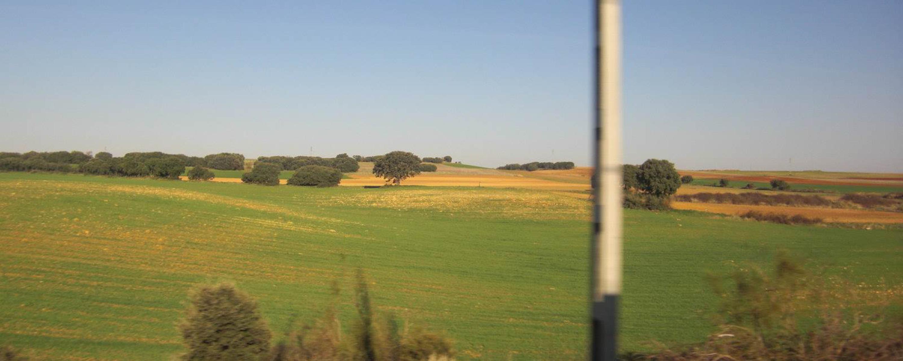 Travel to Sigüenza