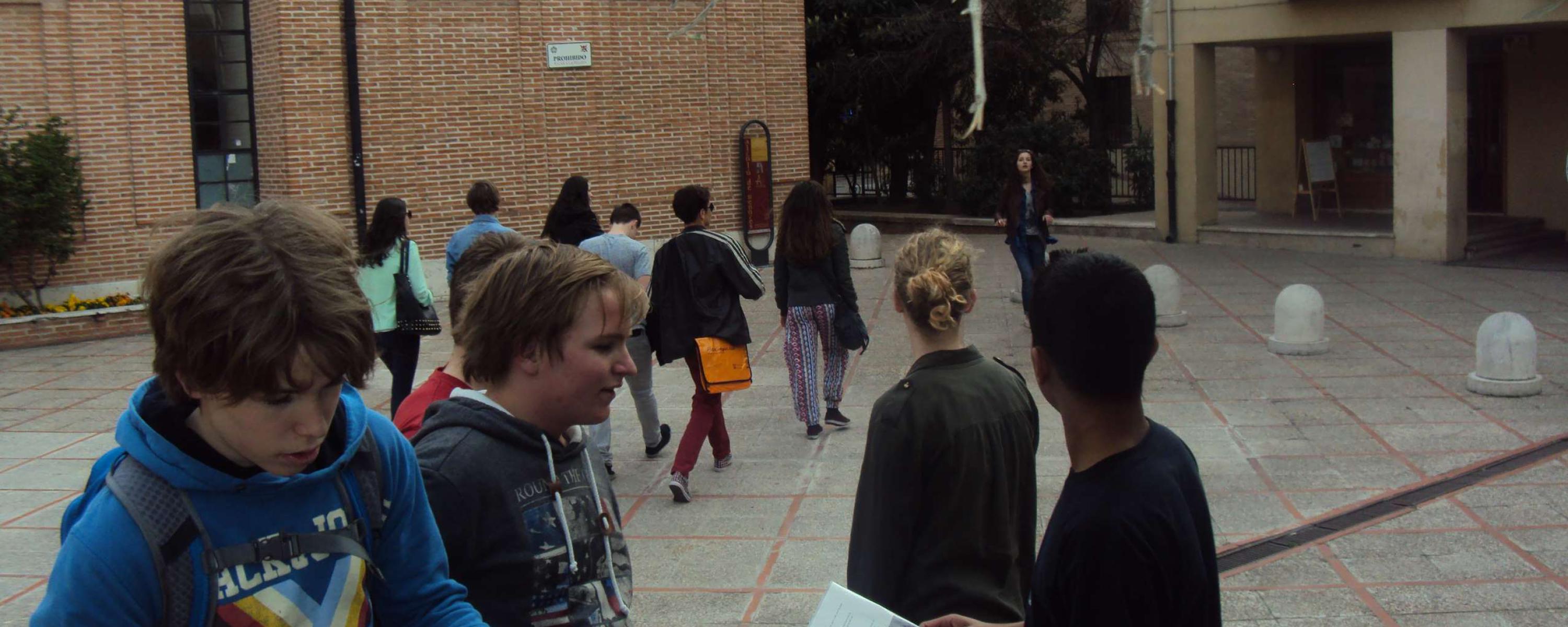 International School Hilversum
