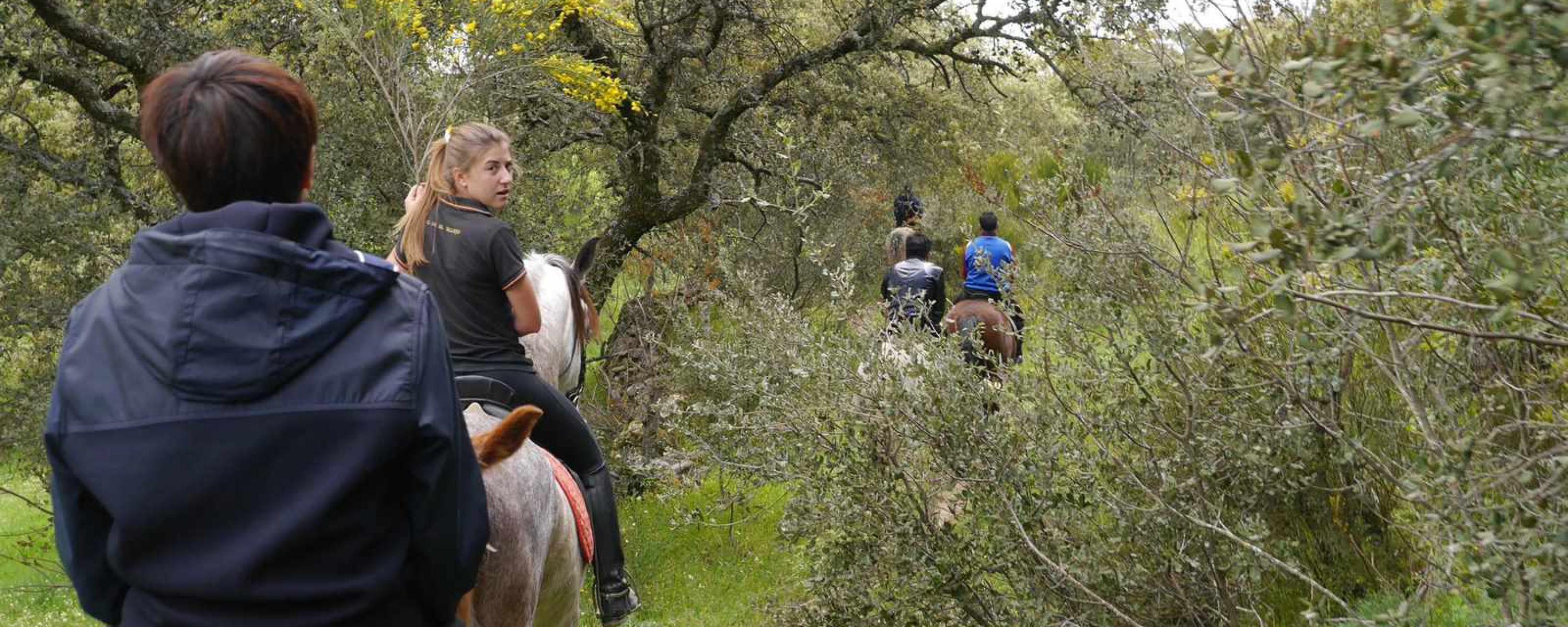 Hípica en Ávila