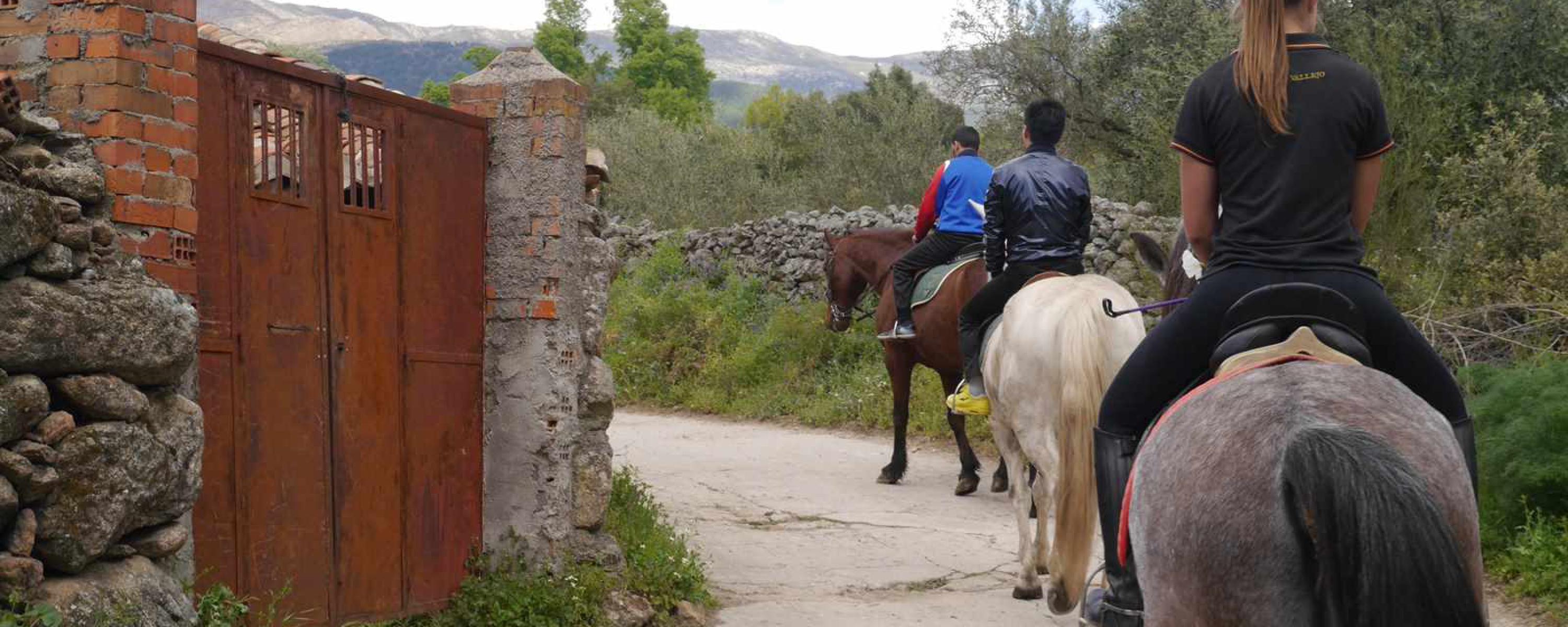 Hípica en Ávila