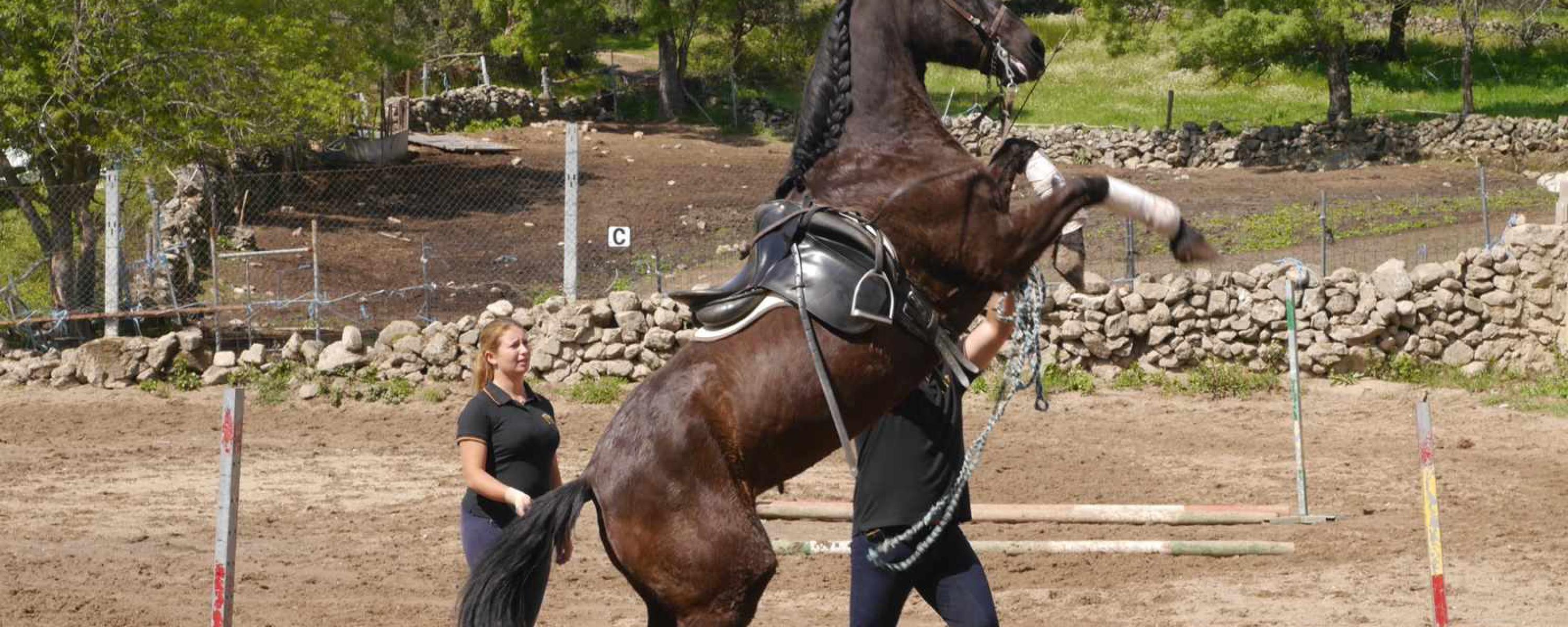 Hípica en Ávila