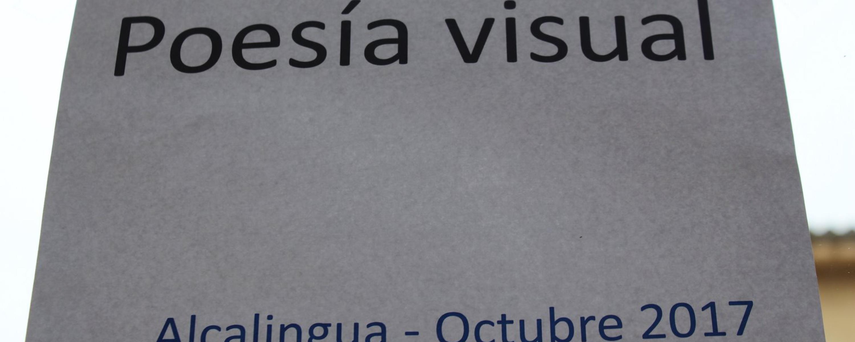 Poesía visual (Victoria del Valle. Pepe Ruiz)  