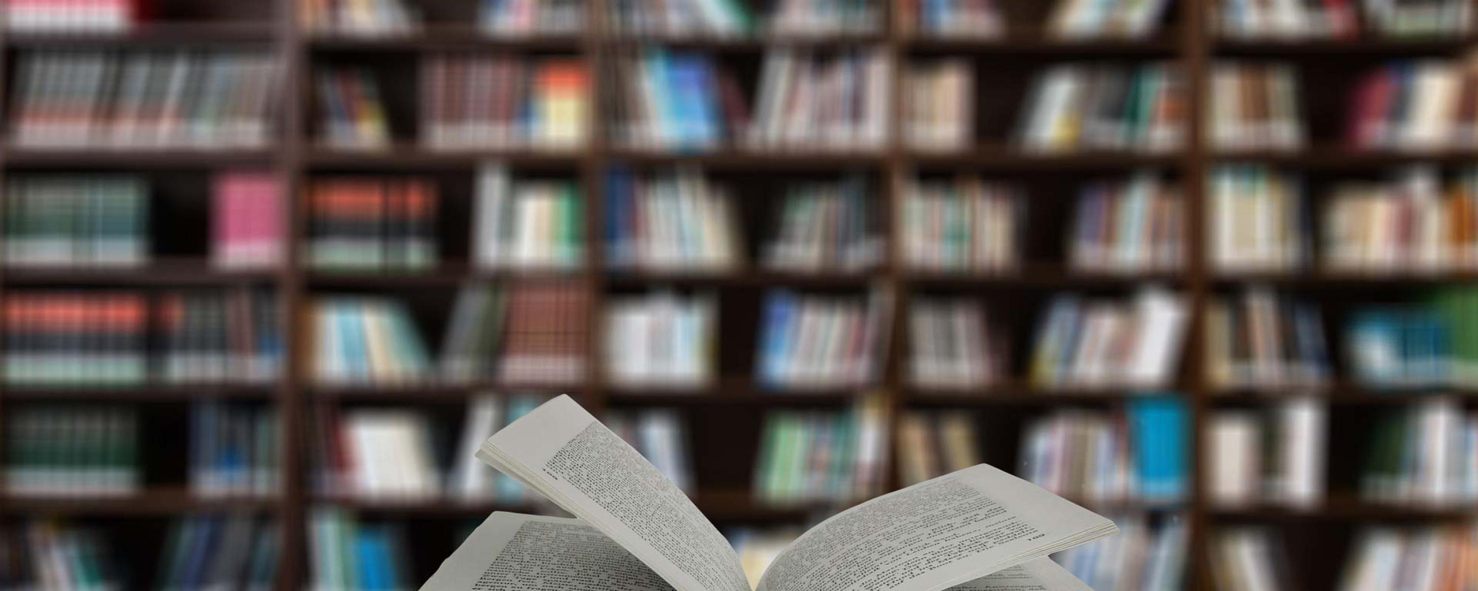 Libro